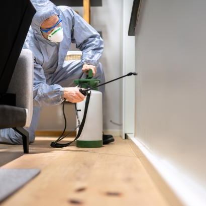 Professionnel traitant un plancher contre les termites