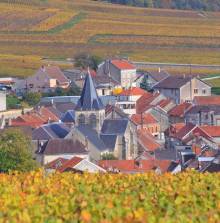 Village breton entouré de vignes en automne
